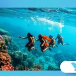 The Sea Nomads: Bajau People and Their Underwater Adaptations.