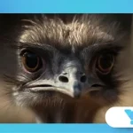 The Great Emu War: When Australia Lost to Birds