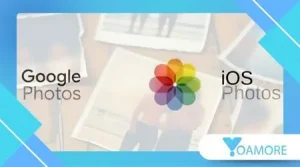 How to Recover Photos, Videos, and Files with Mobile Recovery Apps