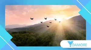 Bird Omens: What It Means When Birds Cross Your Path
