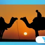 The Camel Whisperers of Rajasthan: A Look at Their Secret Signals