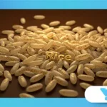 Why Some Languages Have 15 Different Words for “Rice”