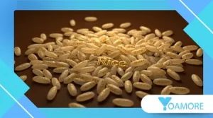 Why Some Languages Have 15 Different Words for “Rice”