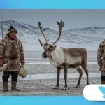 Meet the Reindeer Herders of Siberia’s Yamal Peninsula