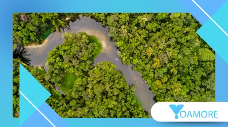 Real-Life Amazon Warriors of Dahomey