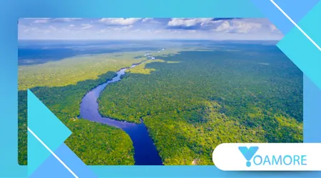 Real-Life Amazon Warriors of Dahomey