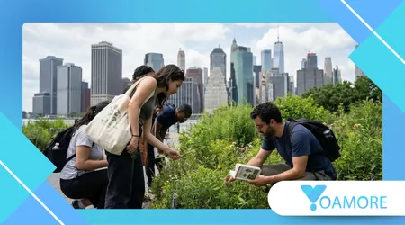 The Urban Foragers of New York City