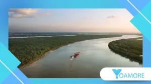 The Day the Mississippi River Ran Backwards