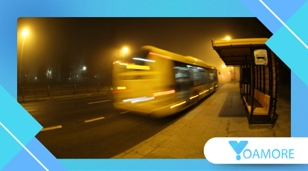 The Microculture of Late-Night Public Transport Communities