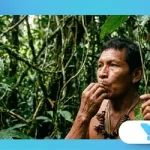 The Whispering Tongues of the Amazon: Languages Without Vowels