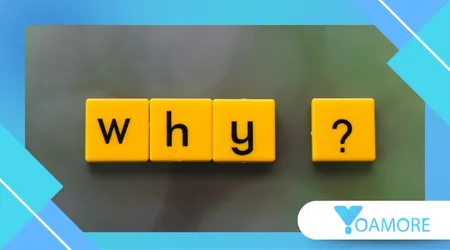 Why is the "Everything-as-a-Service" model dominating the market?