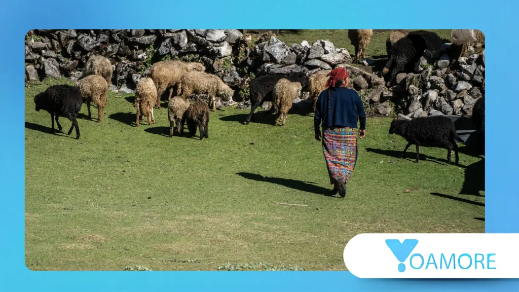 pastoralist languages.