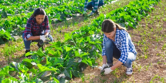 The Microculture of Seasonal Workers Who Return to the Same Place Every Year