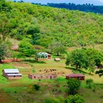 How Remote Villages Manage Shared Resources Without Formal Rules