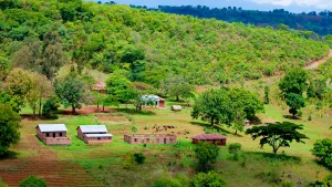 How Remote Villages Manage Shared Resources Without Formal Rules