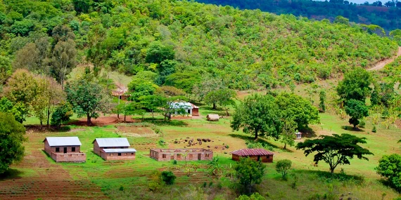 How Remote Villages Manage Shared Resources Without Formal Rules