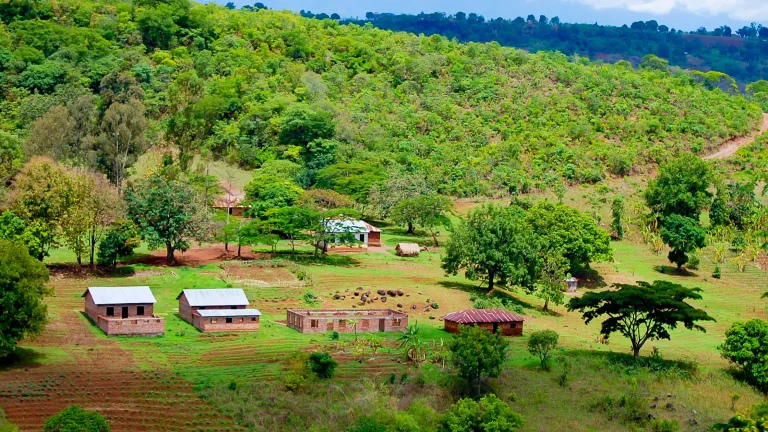 How Remote Villages Manage Shared Resources Without Formal Rules