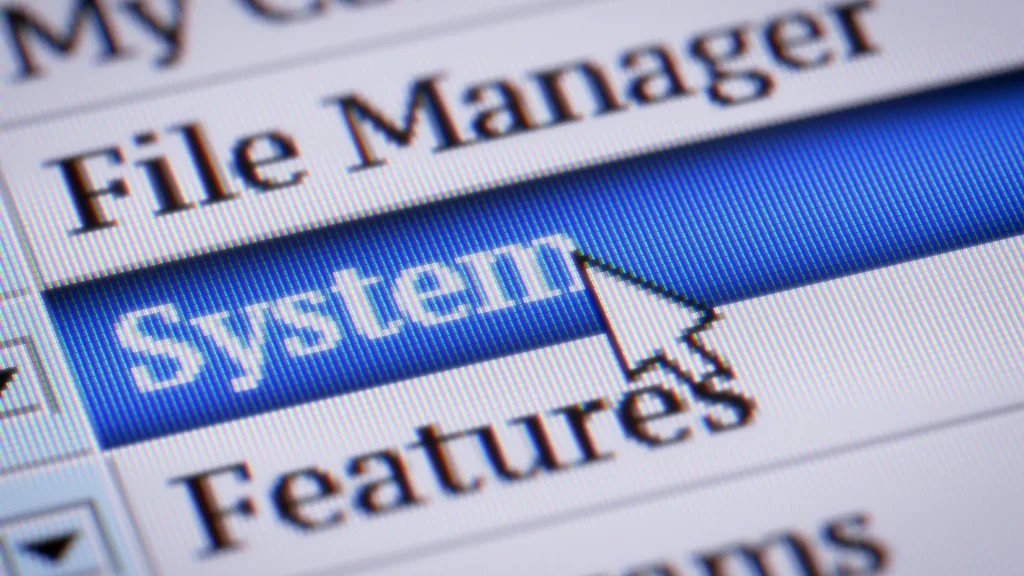 adjective-less language systems