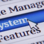 How adjective-less language systems describe reality