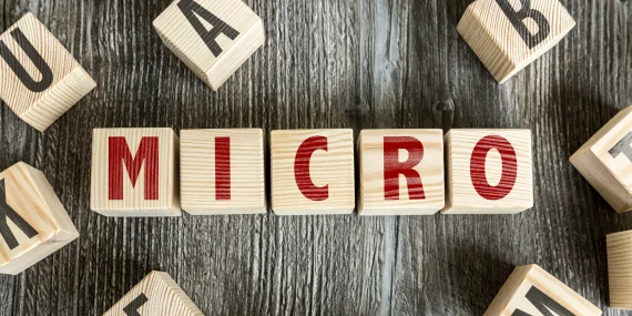How micro-fandoms are reshaping modern entertainment