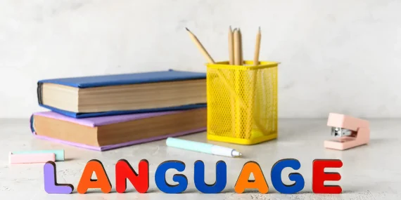 Why nounless sentence languages challenge linguistic theory