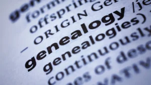 Why oral genealogy traditions depend on endangered languages