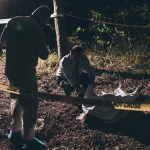 The Cleveland Torso Murders and a City’s Forgotten Panic