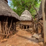 How village storytelling dialects survive without schools