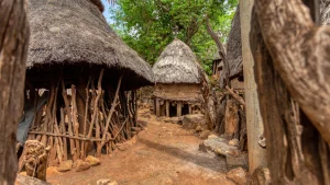 How village storytelling dialects survive without schools